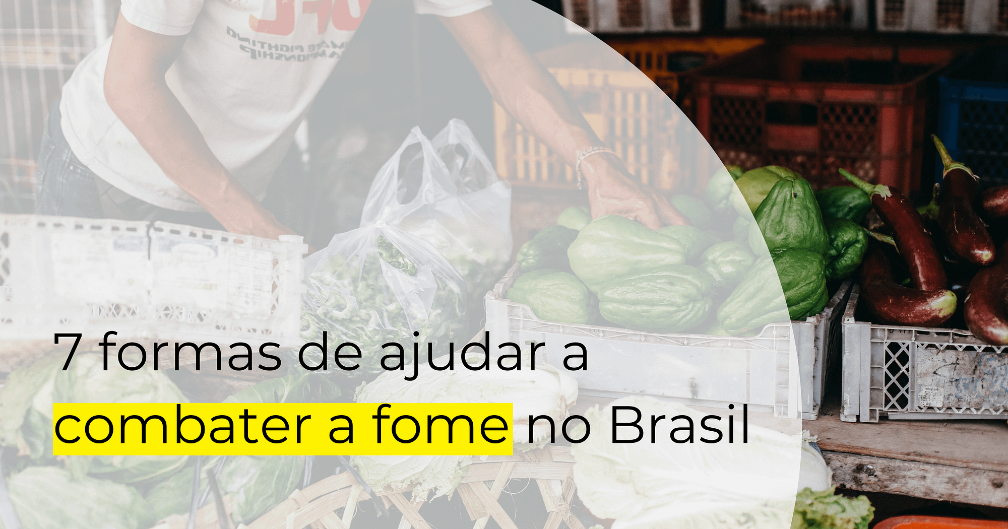Pessoa escolhe legumes e verduras entre chuchus, berinjelas e abobrinhas. Em primeiro plano, o texto "7 formas de ajudar a combater a fome no Brasil"